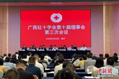 《广西红十字事业发展规划（2026—2030年）》审议通过